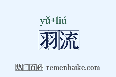 羽流是什么意思的图片